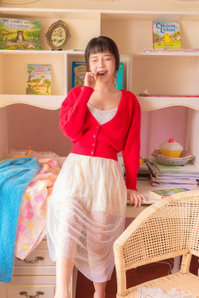 再续意难忘